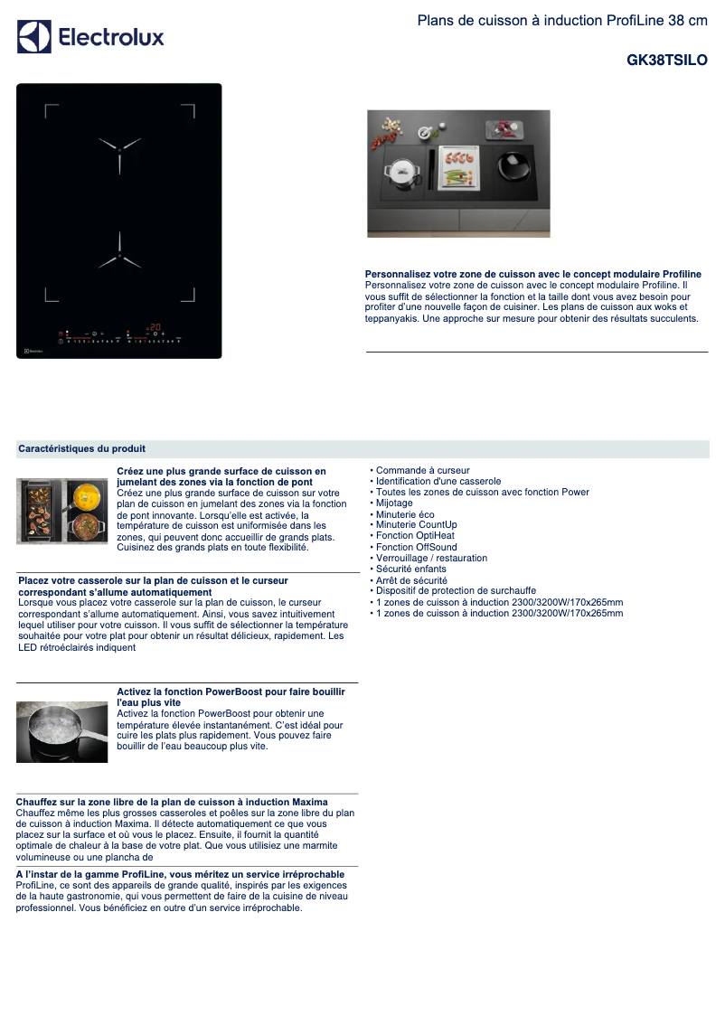 Page 1 de la notice Fiche technique Electrolux GK38TSILO