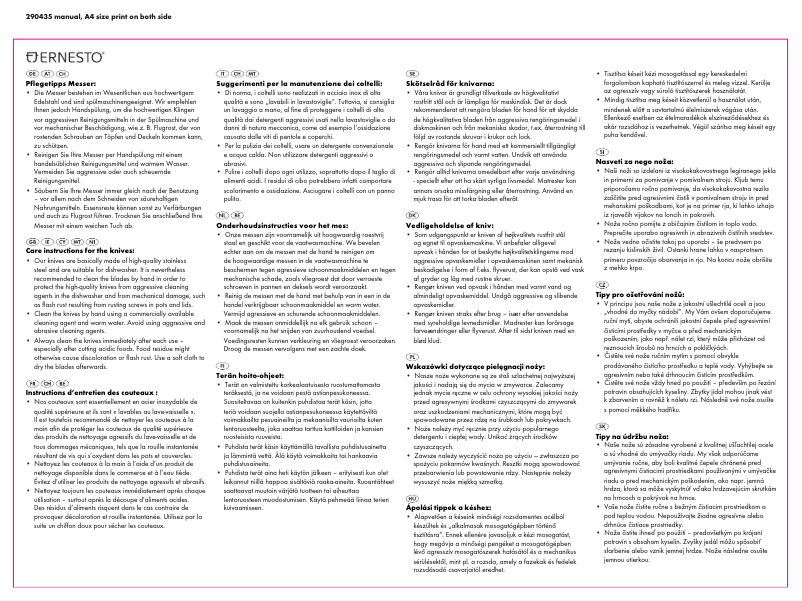 Página 1 del manual Manual de usuario Ernesto IAN 290435