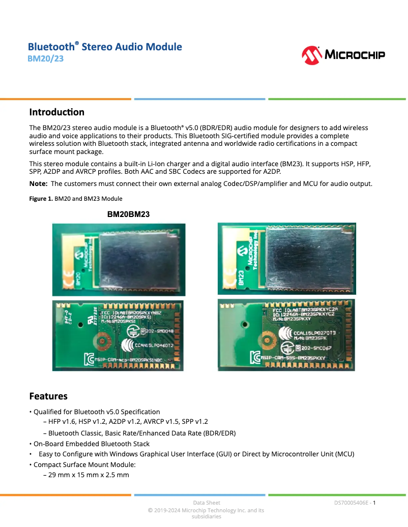 Página 1 del manual Ficha técnica Microchip BM20