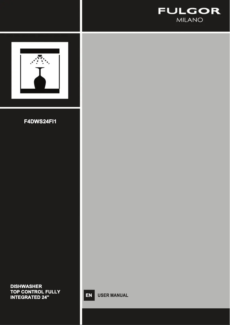 Image de la première page du manuel de l'appareil F4DWS24FI1