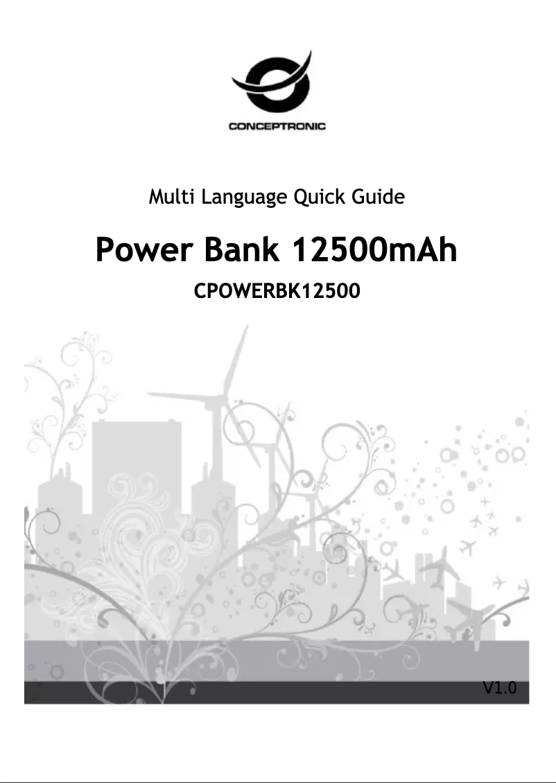 Image de la première page du manuel de l'appareil CPOWERBK12500