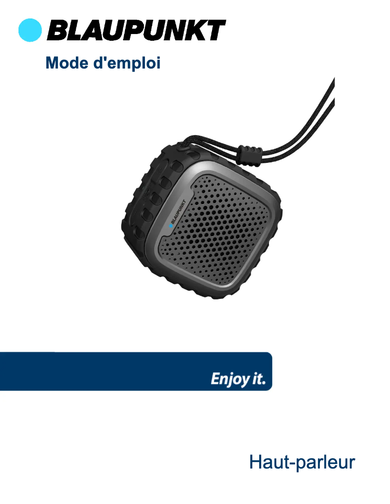 Página 1 del manual Manual de usuario Blaupunkt BLP6110