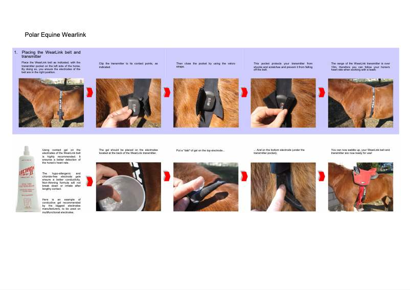 Image de la première page du manuel de l'appareil Equine Wearlink
