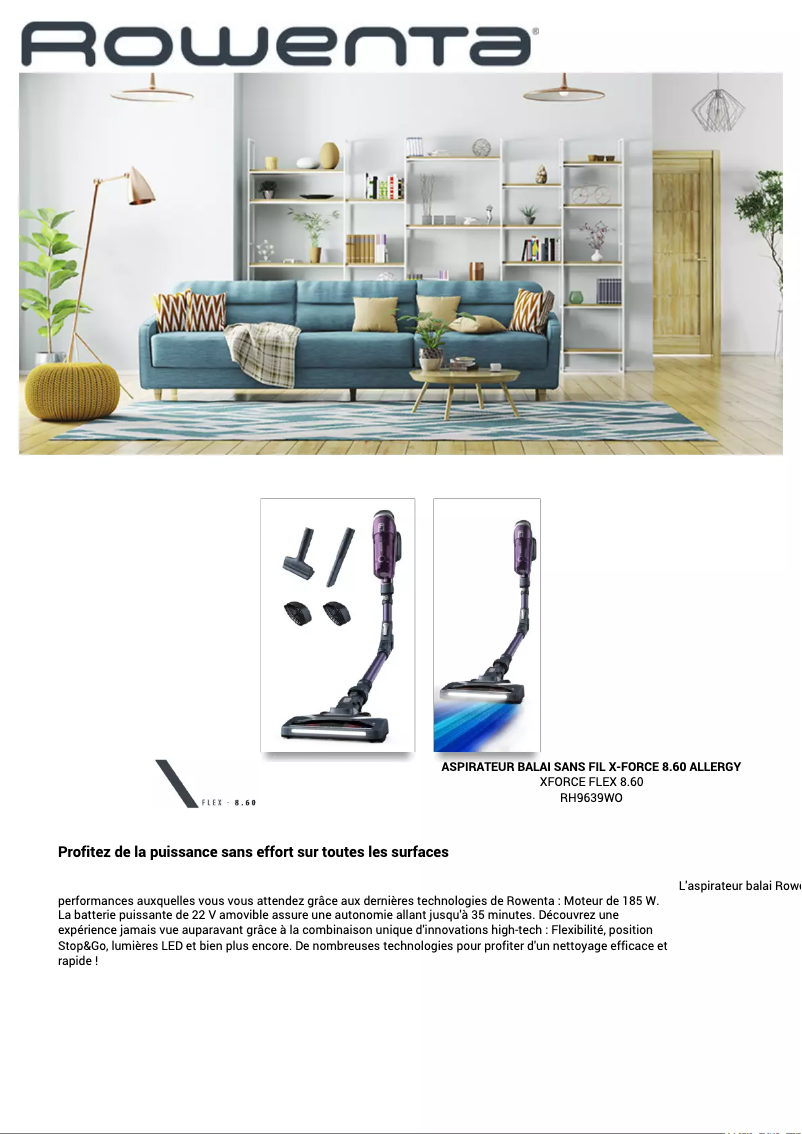 Page n°1 - Fiche technique Rowenta X-Force Flex 8.60