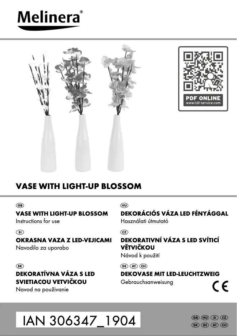 Page 1 de la notice Manuel utilisateur Melinera IAN 306347