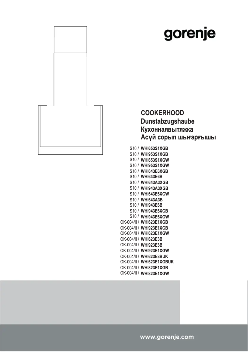 Page 1 of the manual User Manual Gorenje WHI641E6XGW