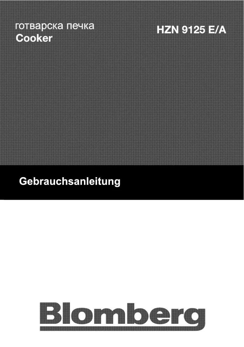 Page n°1 - Manuel utilisateur Blomberg HZN 9125 A
