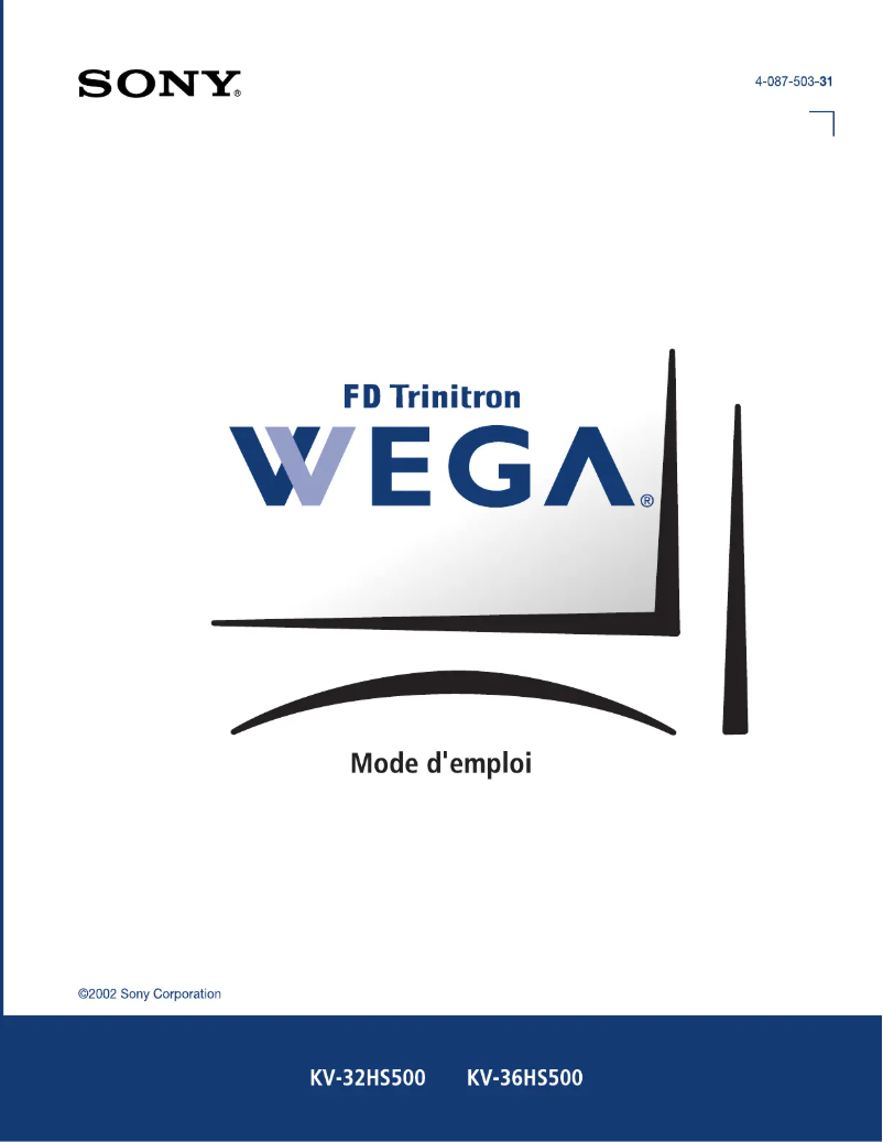 Image de la première page du manuel de l'appareil KV-36HS500