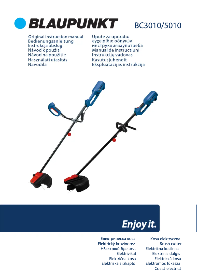 Page 1 de la notice Manuel utilisateur Blaupunkt BC3010
