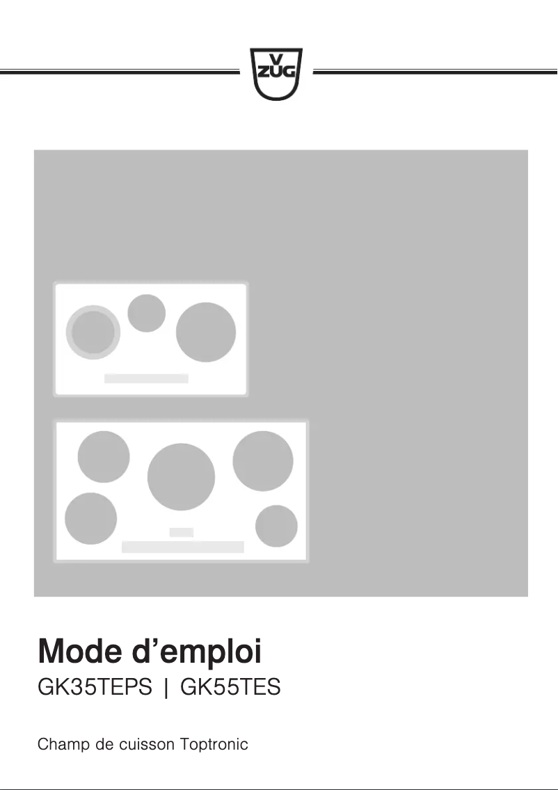 Image de la première page du manuel de l'appareil GK55TES