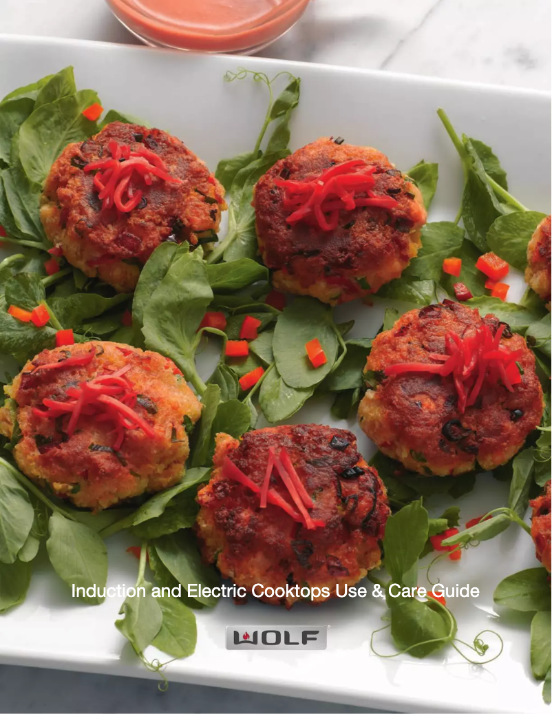 Page n°1 - Manuel utilisateur Wolf CE365C/B