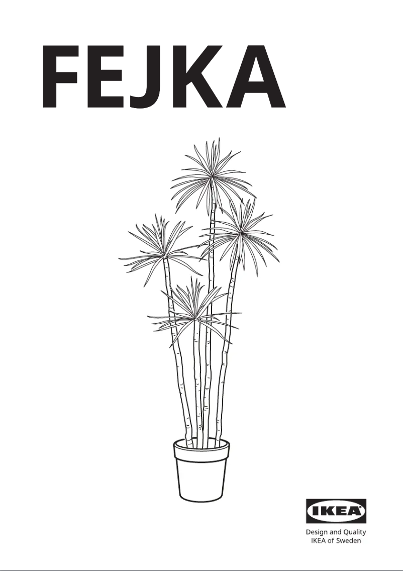 Image de la première page du manuel de l'appareil FEJKA 505.486.34