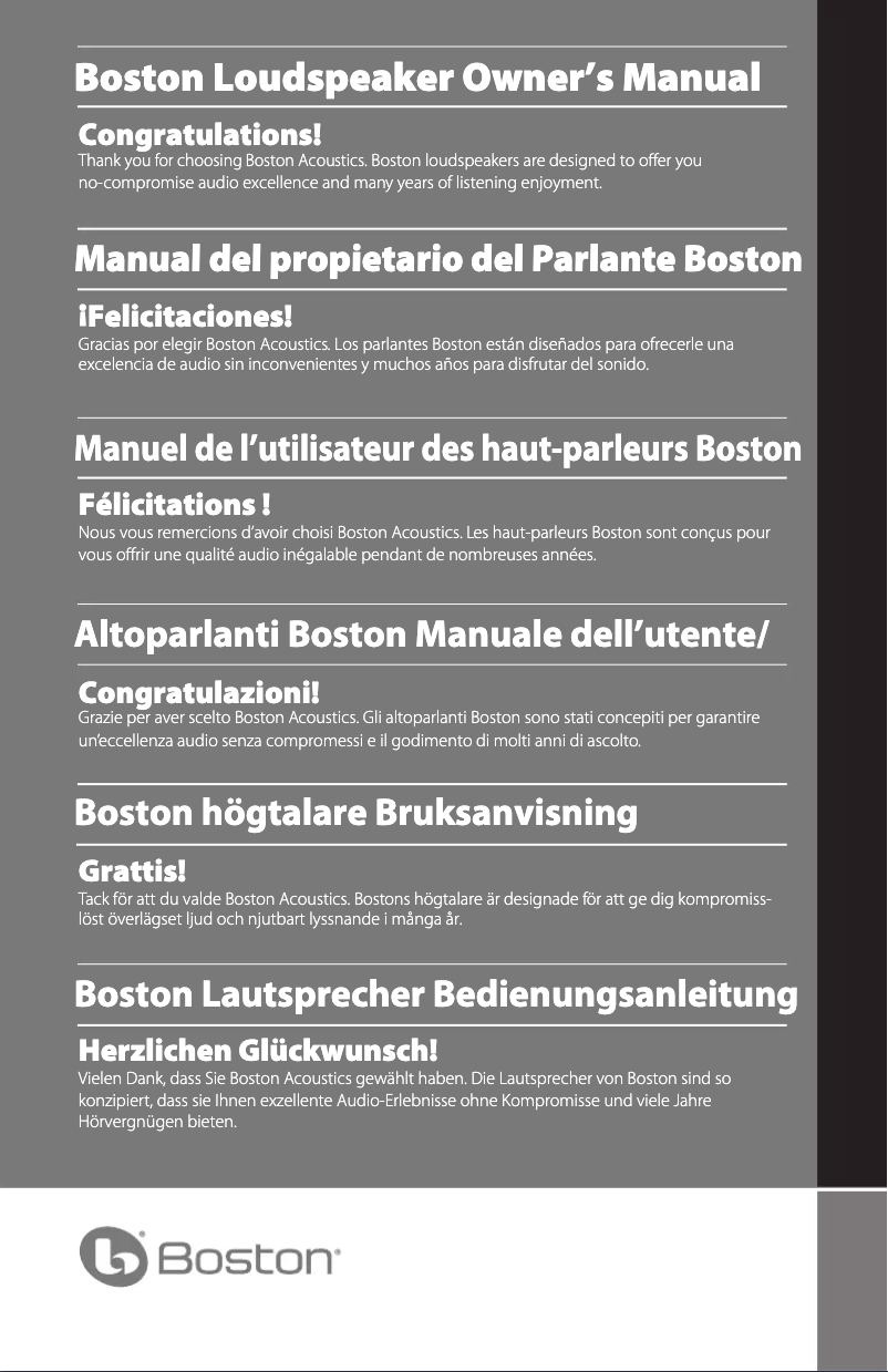 Page 1 de la notice Manuel utilisateur Boston Acoustics Reflection RS230