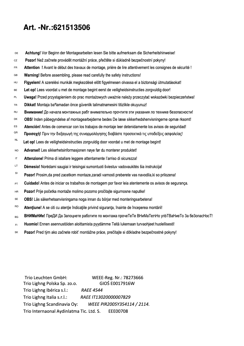 Page 1 de la notice Manuel utilisateur Trio Lighting Torino 621513506