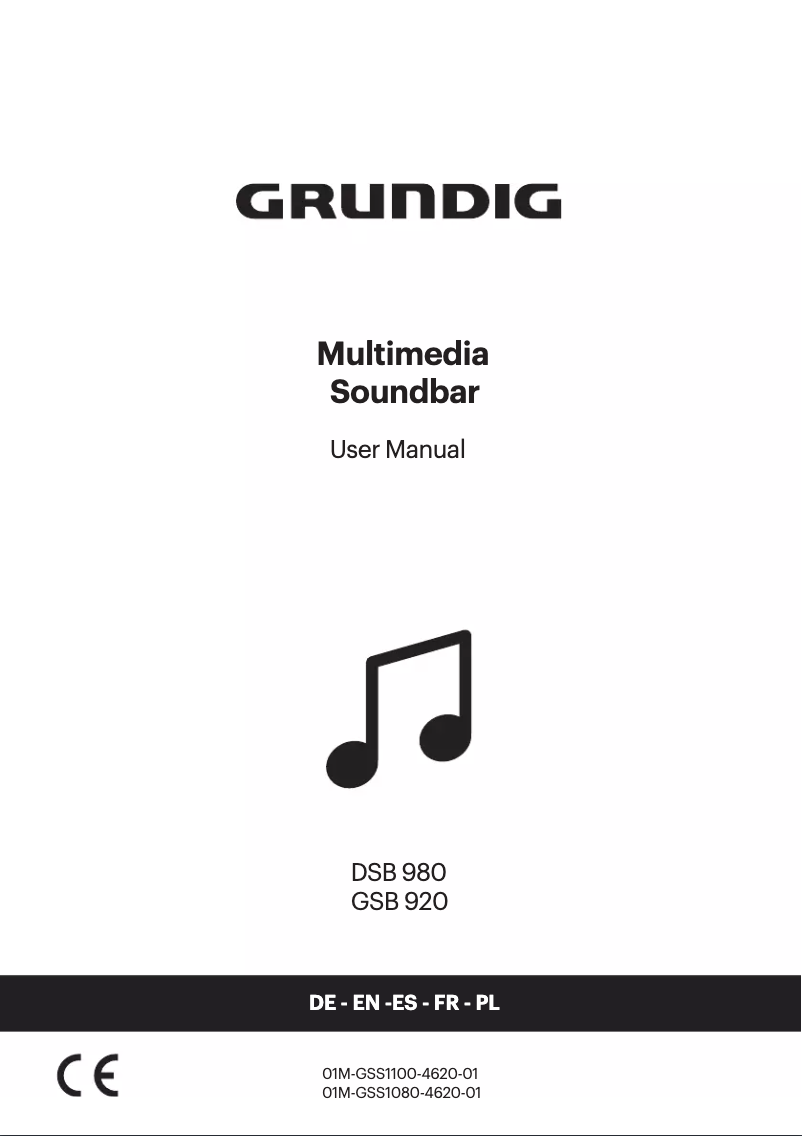 Page 1 de la notice Manuel utilisateur Grundig DSB 980