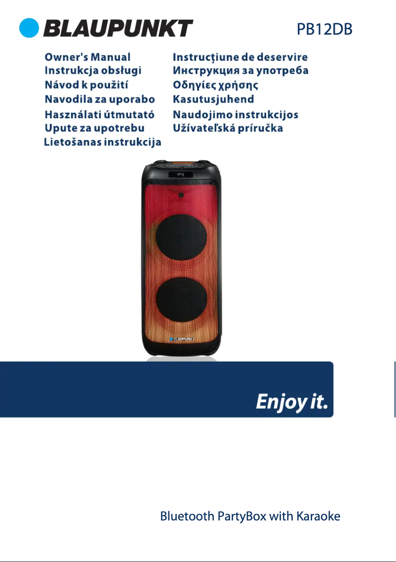 Page 1 de la notice Manuel utilisateur Blaupunkt PB12DB