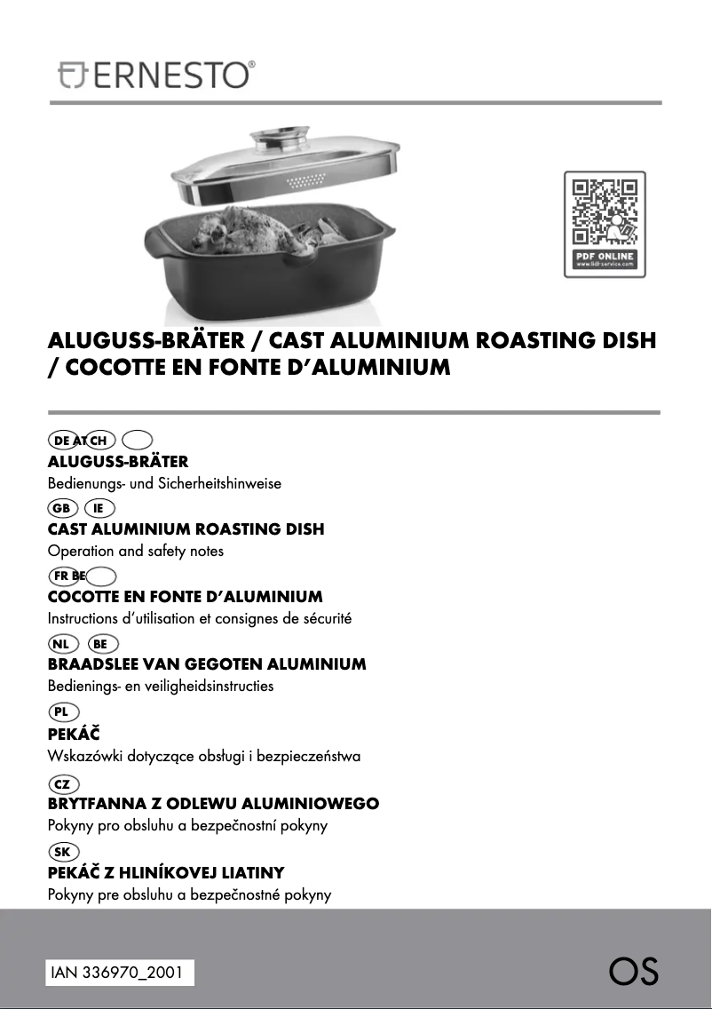 Page 1 de la notice Manuel utilisateur Ernesto IAN 336970