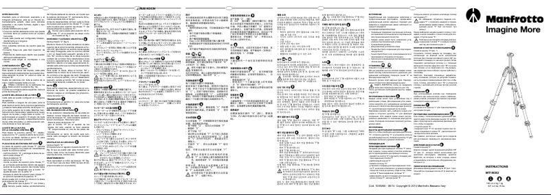 Page 1 de la notice Manuel utilisateur Manfrotto MT190X3