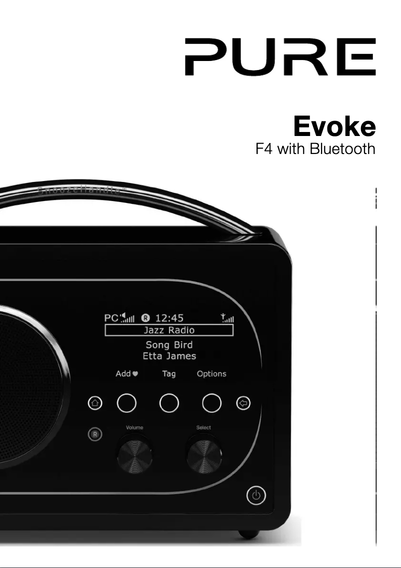 Página 1 del manual Manual de usuario Pure Evoke F4 with Bluetooth