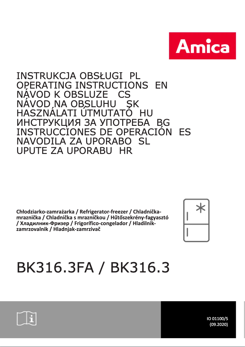 Page n°1 - Manuel utilisateur Amica BK316.3