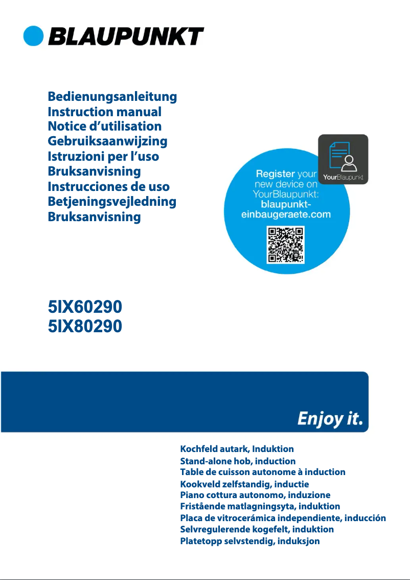 Página 1 del manual Manual de usuario Blaupunkt 5IX60290