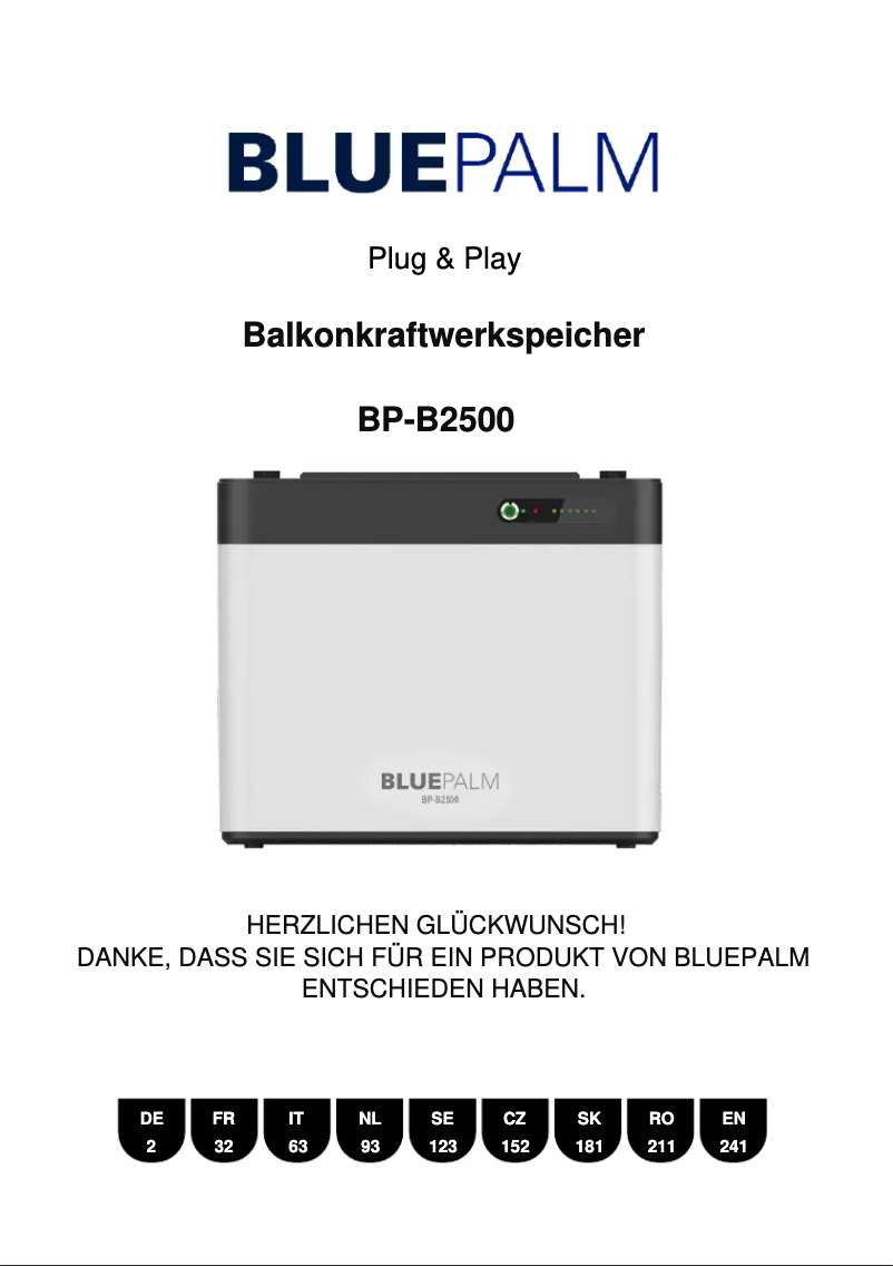 Página 1 del manual Manual de usuario BLUEPALM BP-B2500