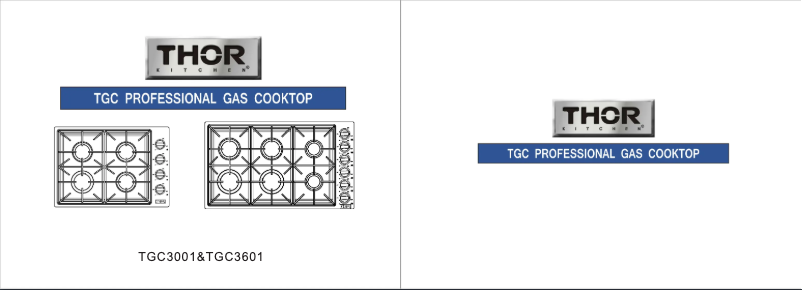 Page n°1 - Manuel utilisateur Thor TGC3001
