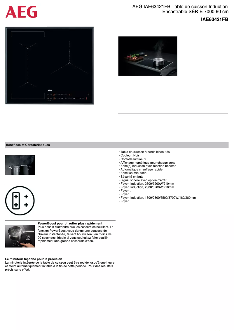 Page 1 de la notice Fiche technique AEG IAE63421FB