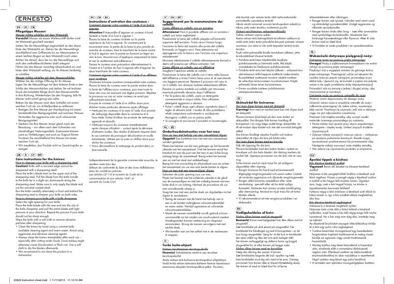Page 1 de la notice Manuel utilisateur Ernesto IAN 93624