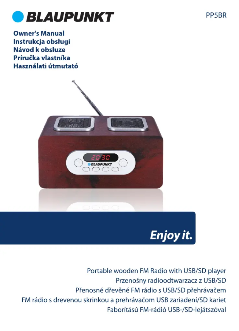 Página 1 del manual Manual de usuario Blaupunkt PP5BR