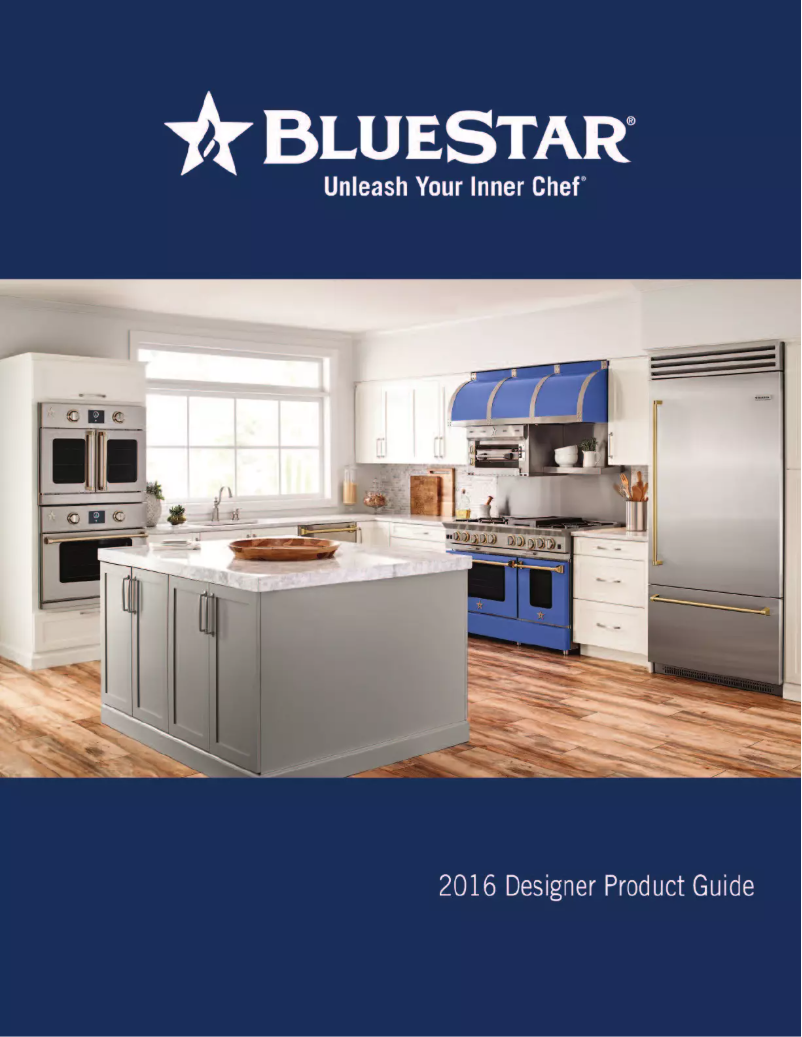 Page 1 de la notice Mode d'emploi BlueStar BSHAMP66SS