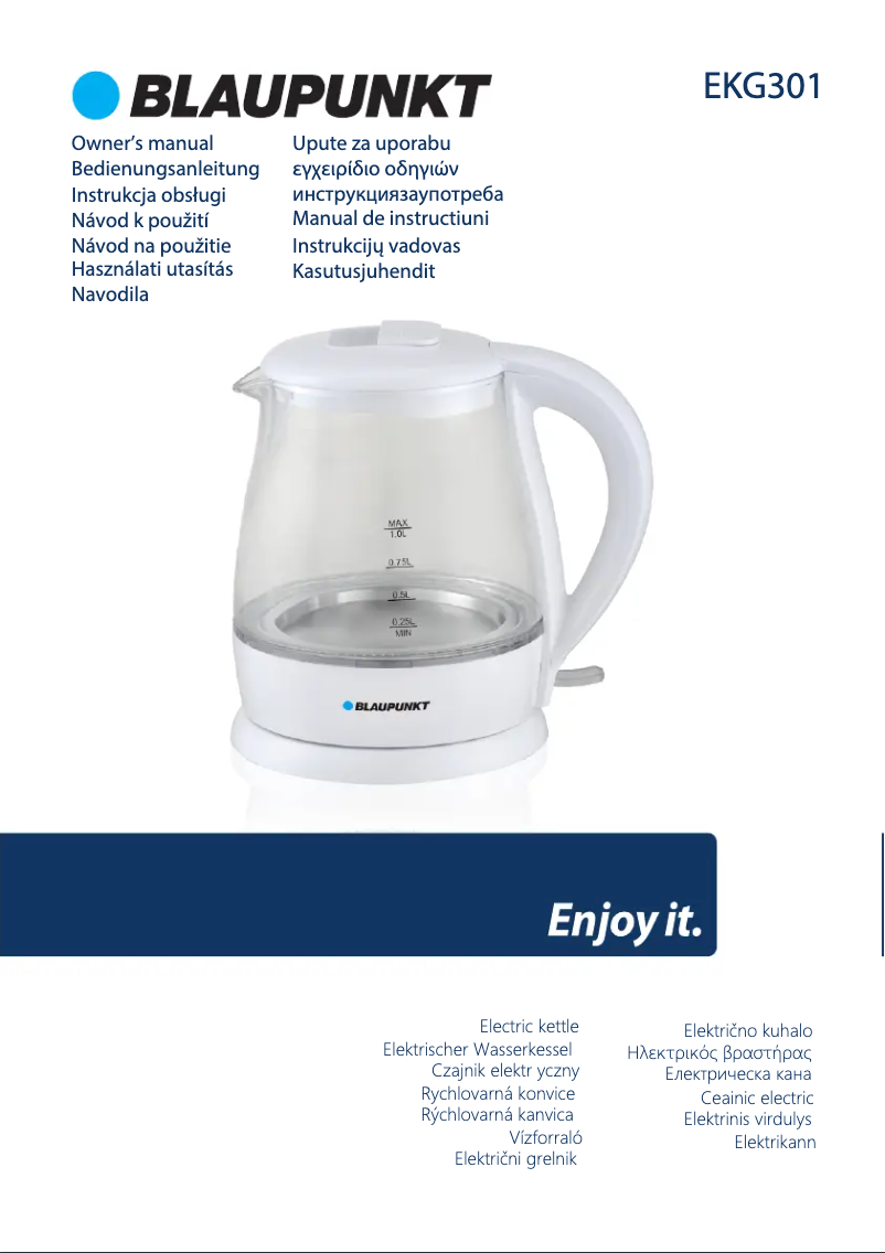 Page n°1 - Manuel utilisateur Blaupunkt EKG301