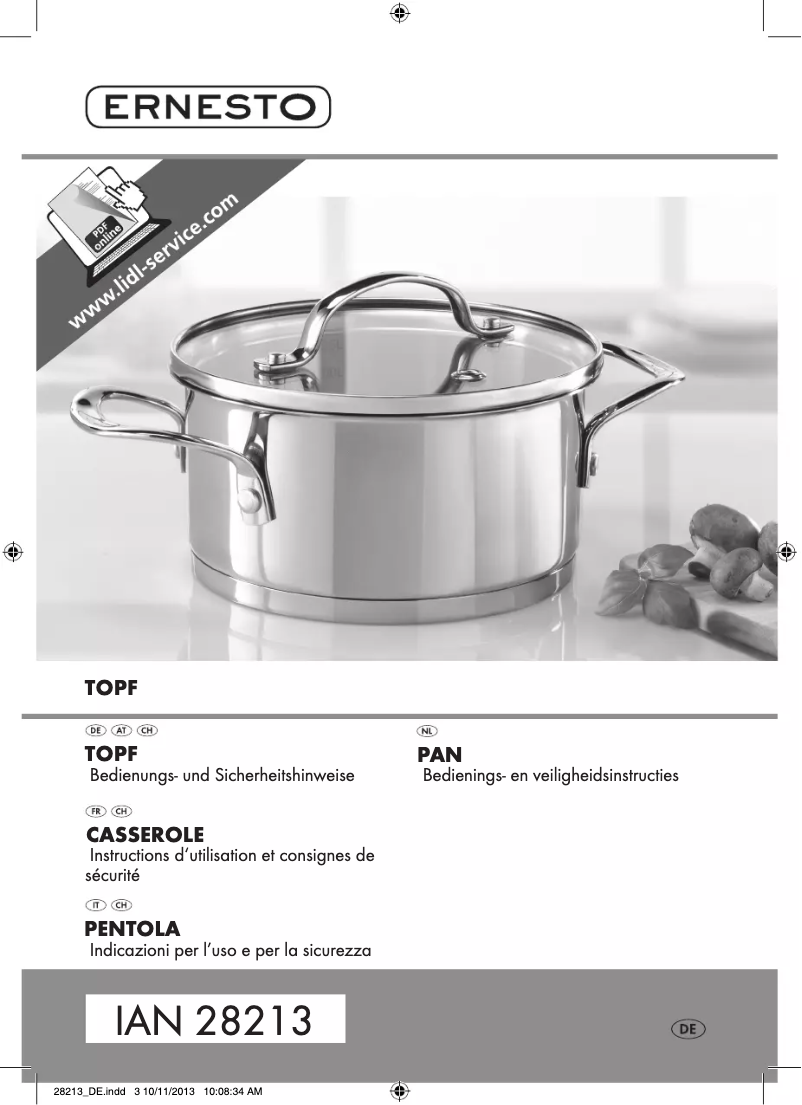 Página 1 del manual Manual de usuario Ernesto IAN 28213