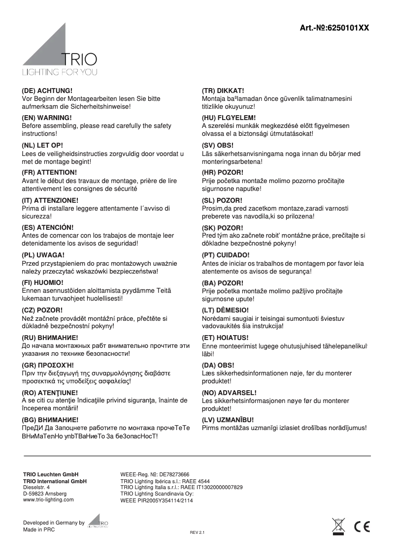 Page n°1 - Manuel utilisateur Trio Lighting Carrera 625010132