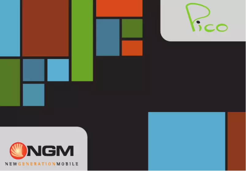 Page 1 de la notice Manuel utilisateur NGM Pico