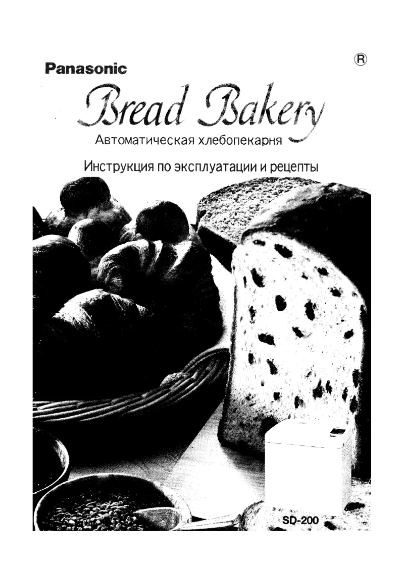 Page n°1 - Manuel utilisateur Panasonic SD-200