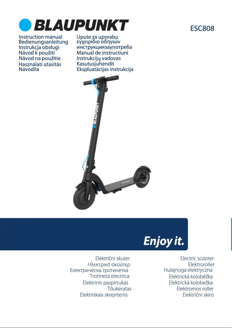 Page 1 de la notice Manuel utilisateur Blaupunkt ESC808