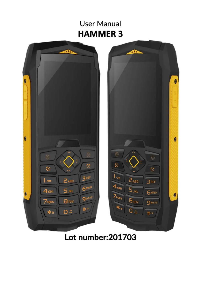 Page 1 de la notice Manuel utilisateur Hammer 3