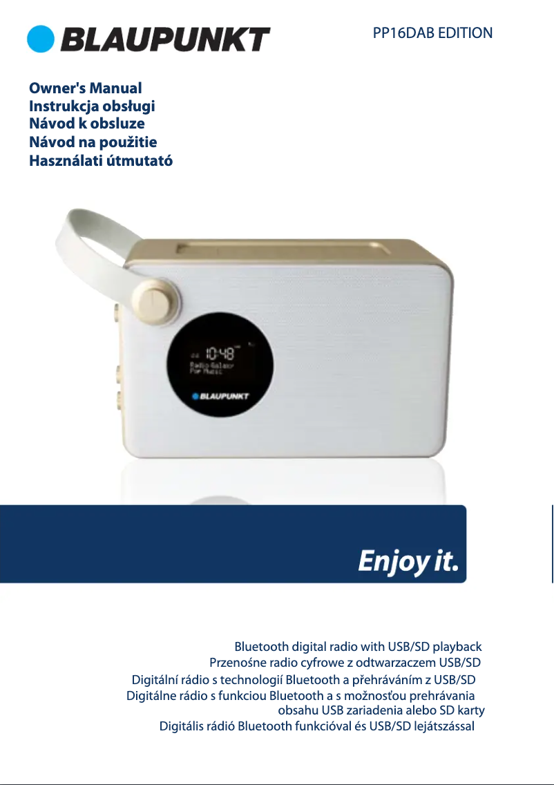 Page 1 de la notice Manuel utilisateur Blaupunkt PP16DAB