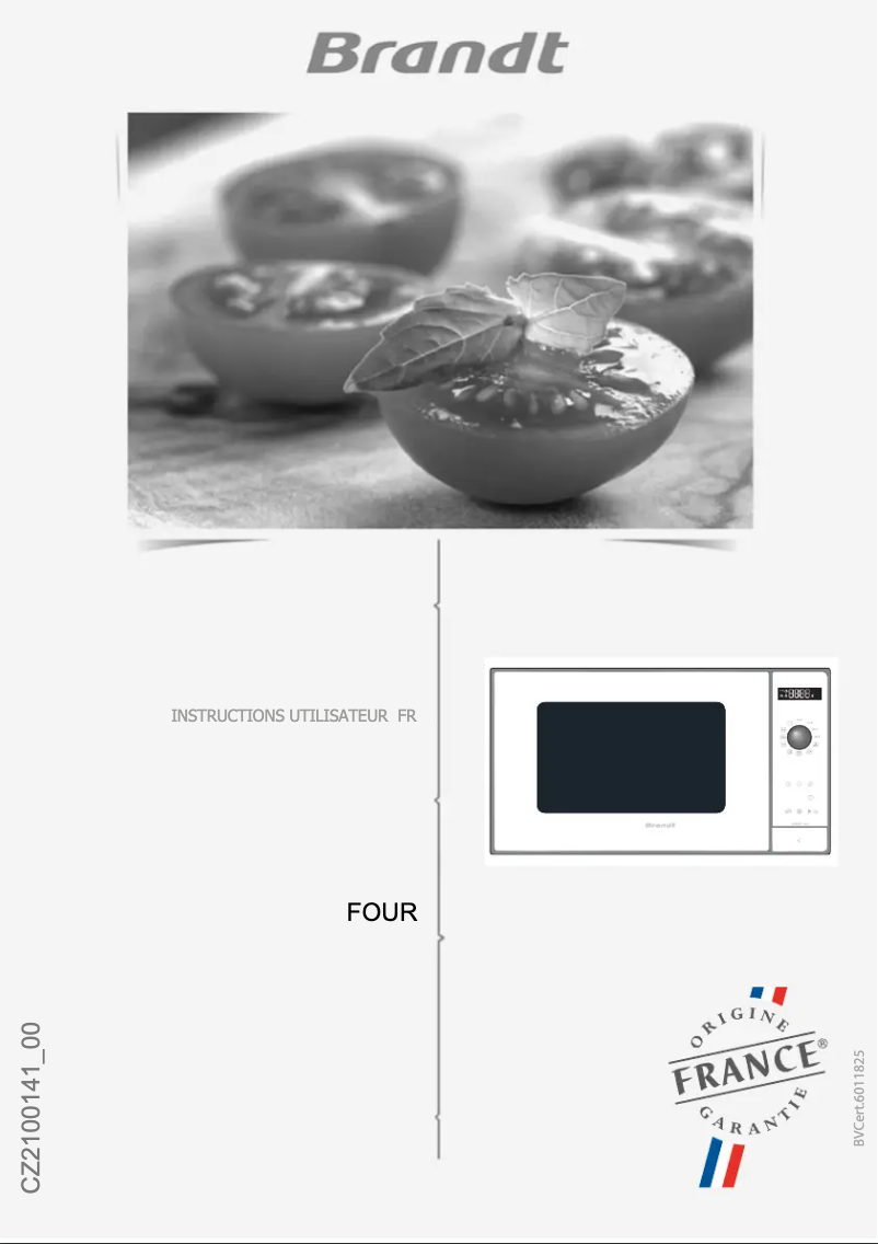 Image de la première page du manuel de l'appareil BMS7115B