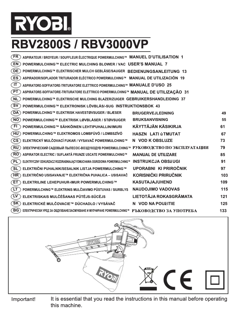 Page 1 de la notice Manuel utilisateur RYOBI RBV3000VP
