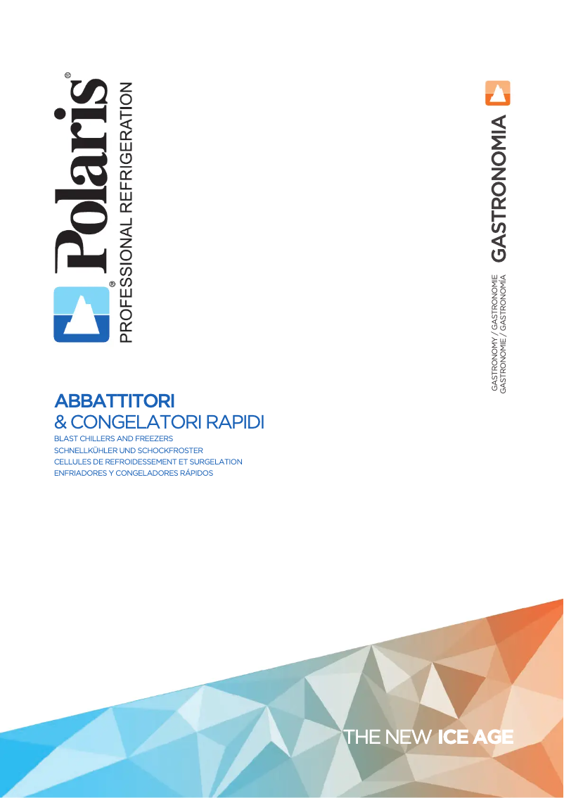 Image de la première page du manuel de l'appareil PCF031AFG