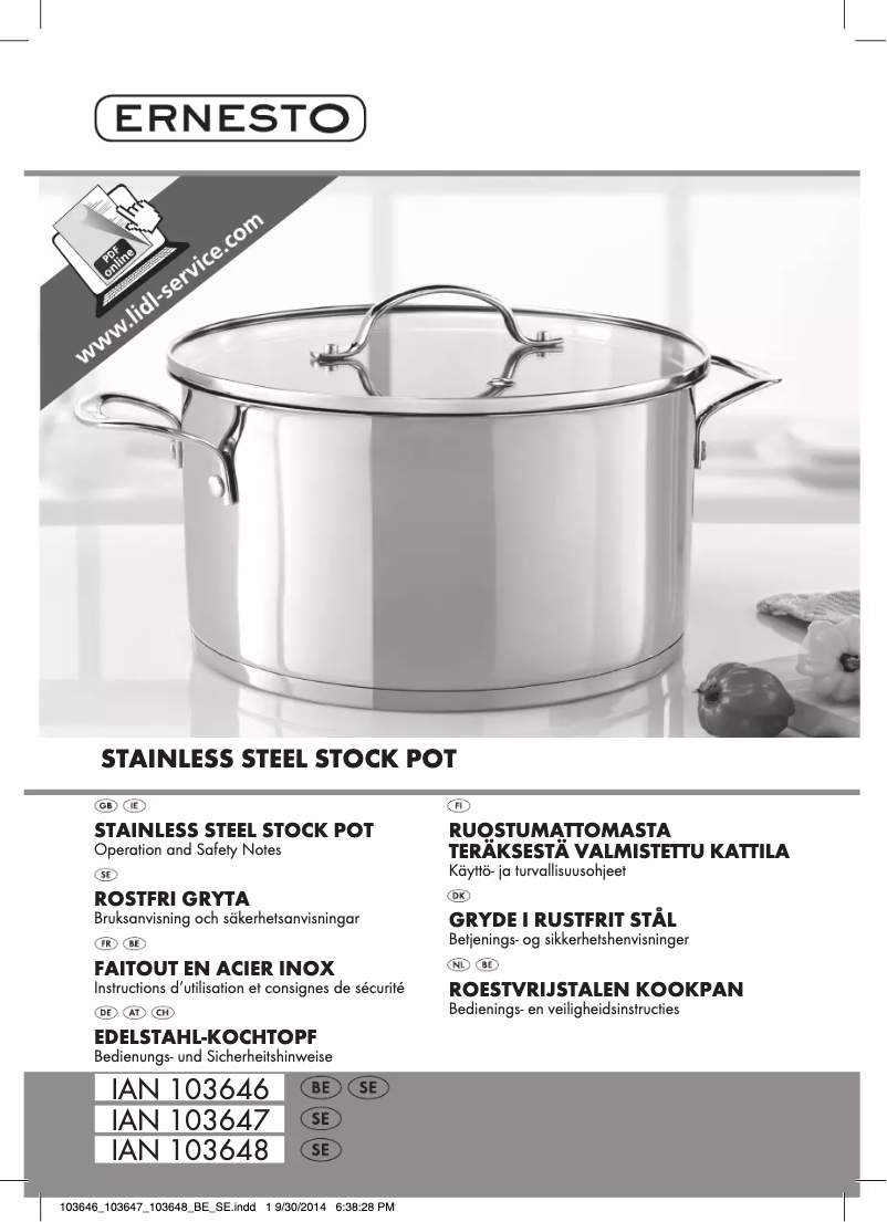 Page n°1 - Manuel utilisateur Ernesto IAN 103647