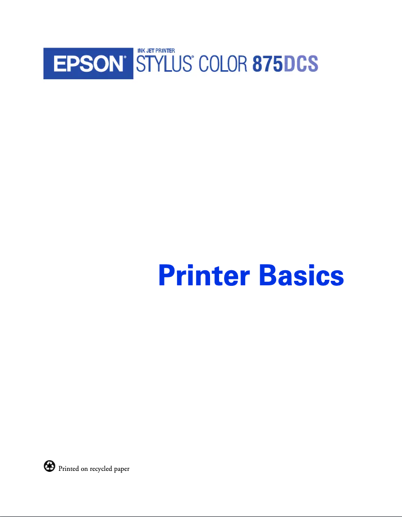 Image de la première page du manuel de l'appareil Stylus Photo 875DCS