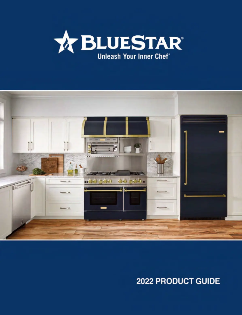 Page n°1 - Brochure BlueStar BSP488BPLT-BRBRTR