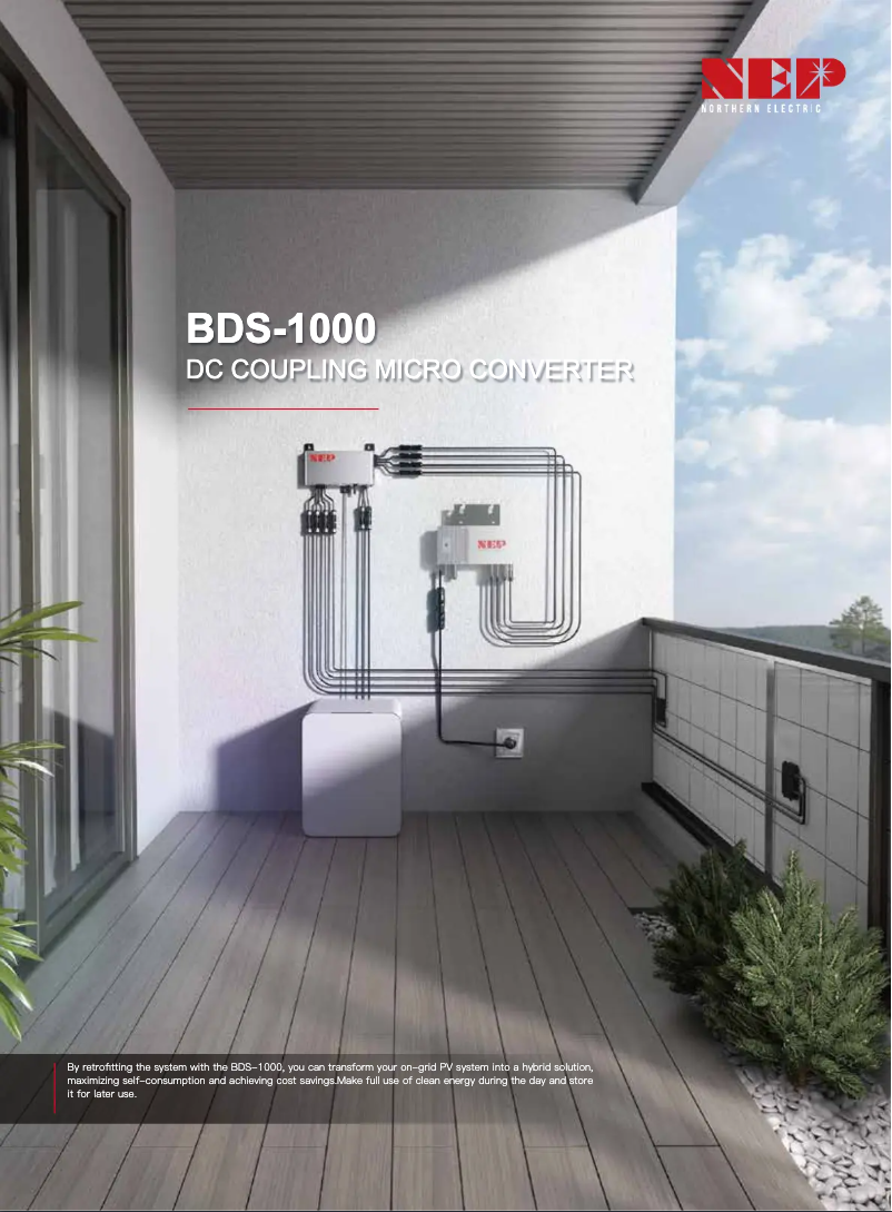 Page 1 de la notice Fiche technique NEP BDS-1000