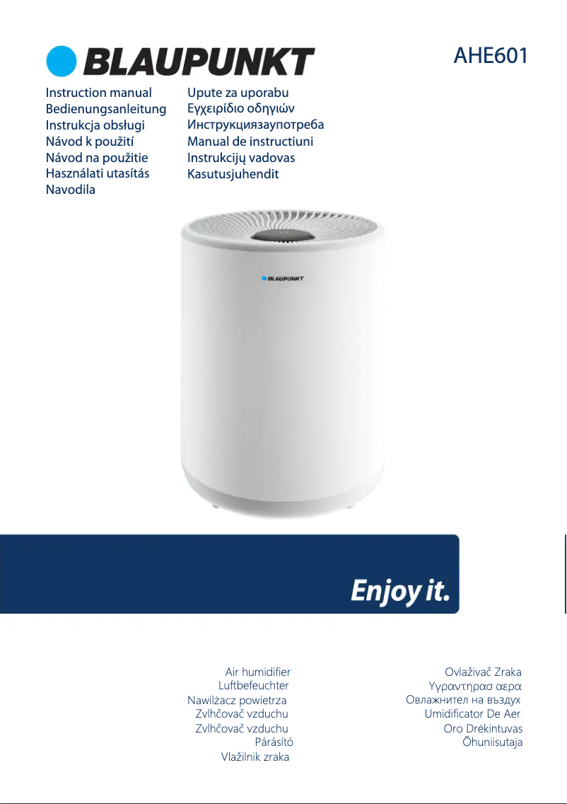 Page n°1 - Manuel utilisateur Blaupunkt AHE601