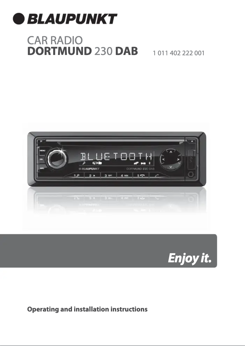 Imagen de la primera página del manual del dispositivo Dortmund 230 DAB