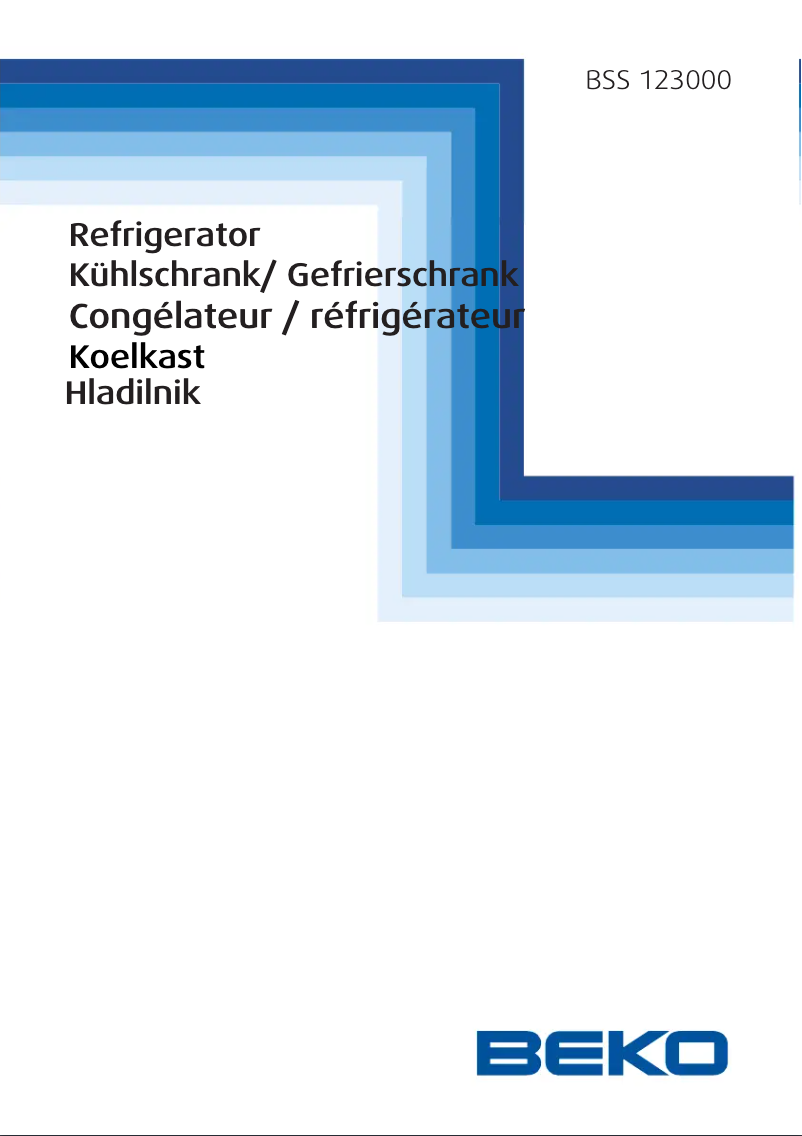 Image de la première page du manuel de l'appareil BSS 123000