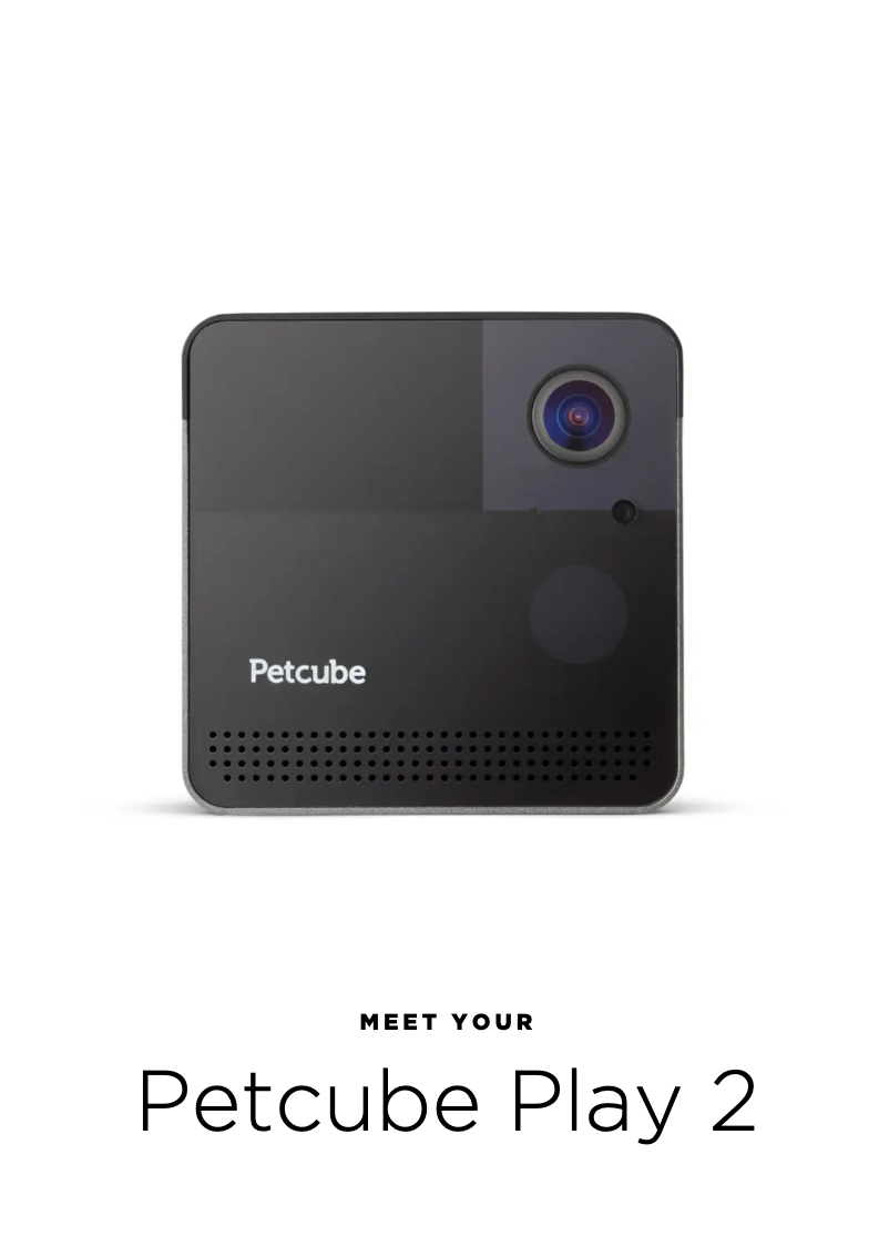 Image de la première page du manuel de l'appareil Play 2